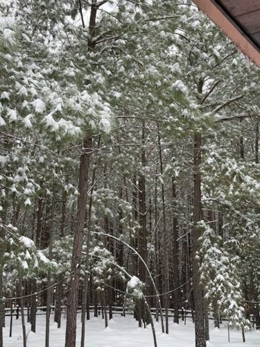 Liquid-Therapy-Lodge-Broken-Bow-Cabins-Snow-26