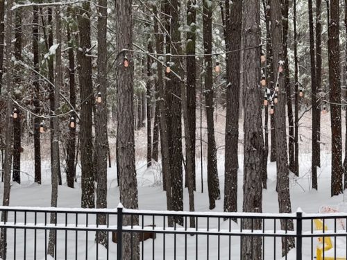 Liquid-Therapy-Lodge-Broken-Bow-Cabins-Snow-28